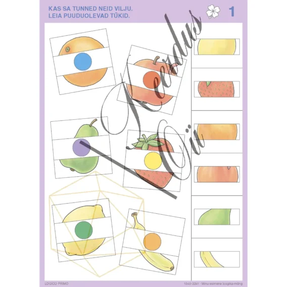 1040-3241-Logico-Primo-Minu-esimene-loogika-mang-watermark_Page_01