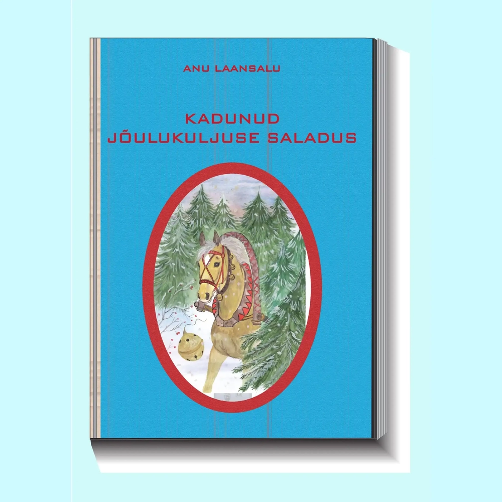 9789916754221-HT754221-Kadunud-joulukuljuse-saladus-raamat-raamatud-Hea-Tegu-joulud-lasteraamat.