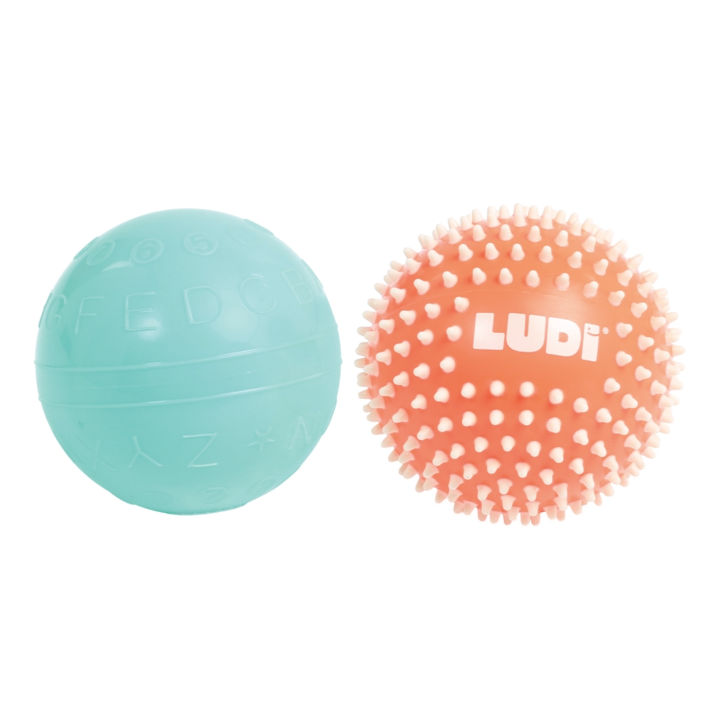 LUDI sensoorsed pallid