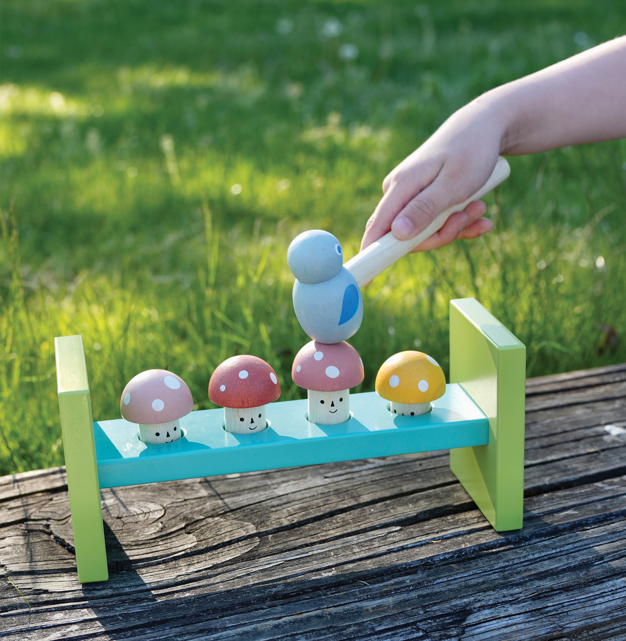 Mentari haamrimäng - Image 4