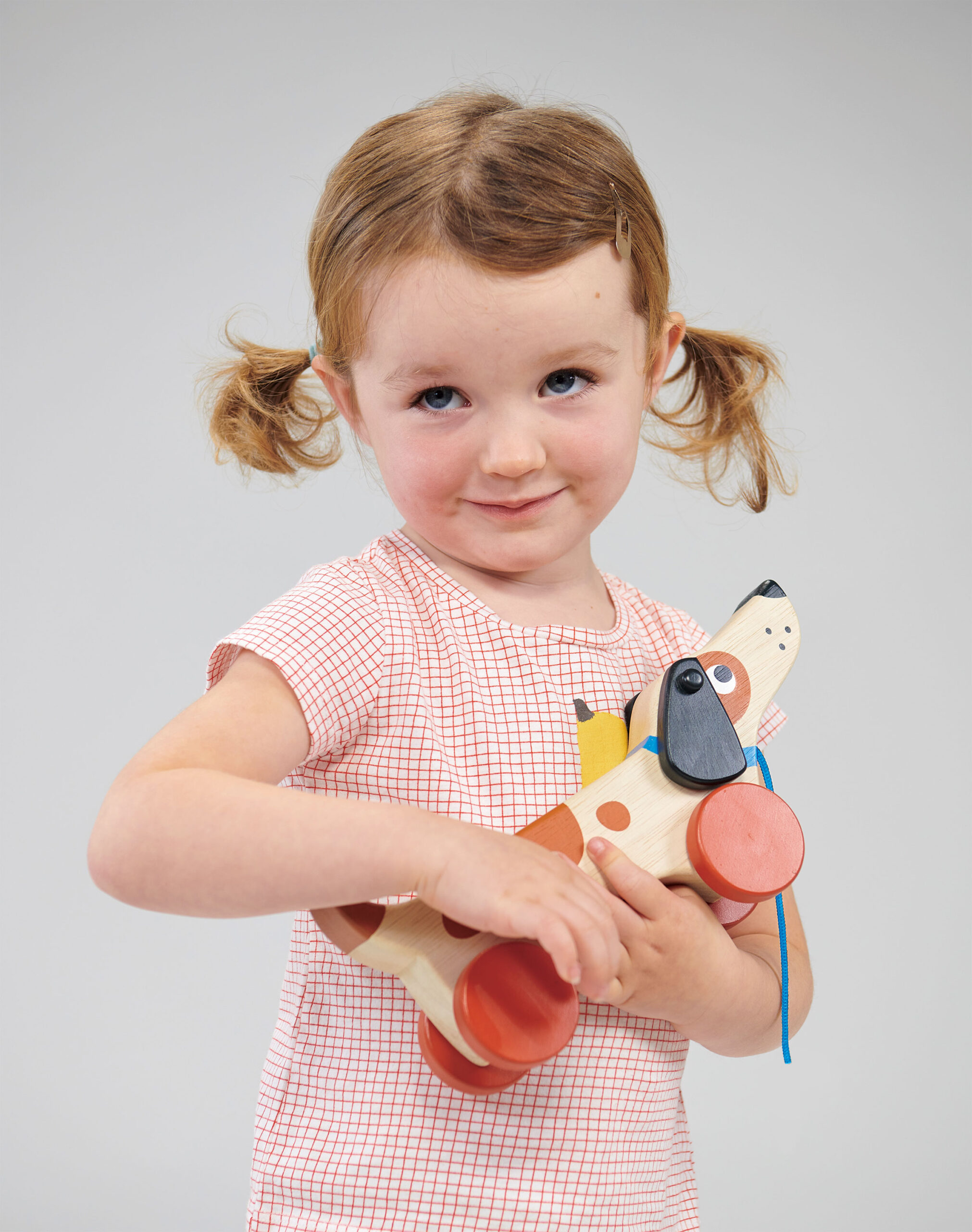 Mentari kutsikas ratastel - Image 4