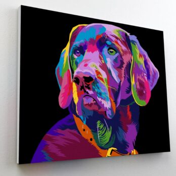 Splat Planet numbrite järgi värvimine