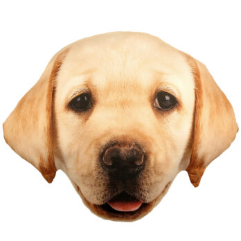 Splat Planet suveniirpadi LABRADOR