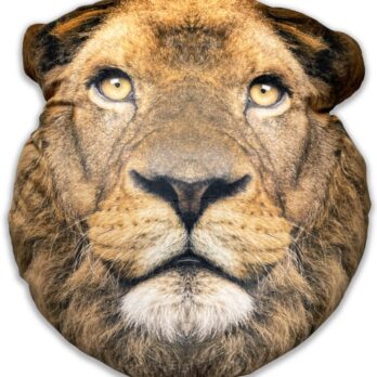 Splat Planet suveniirpadi LÕVI