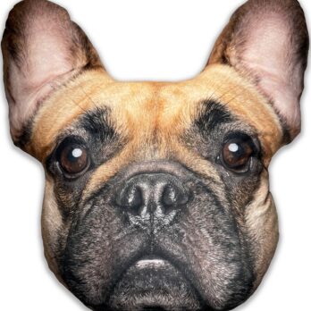 Splat Planet suveniirpadi PRANTSUSE BULLDOG