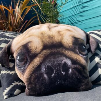 Splat Planet suveniirpadi PUG