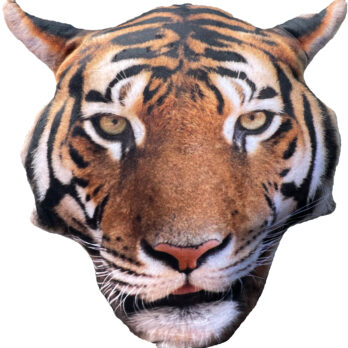 Splat Planet suveniirpadi TIIGER