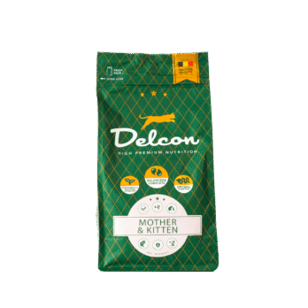 Toit kassipoegadele ja tiinetele kassidele KITTEN / 1