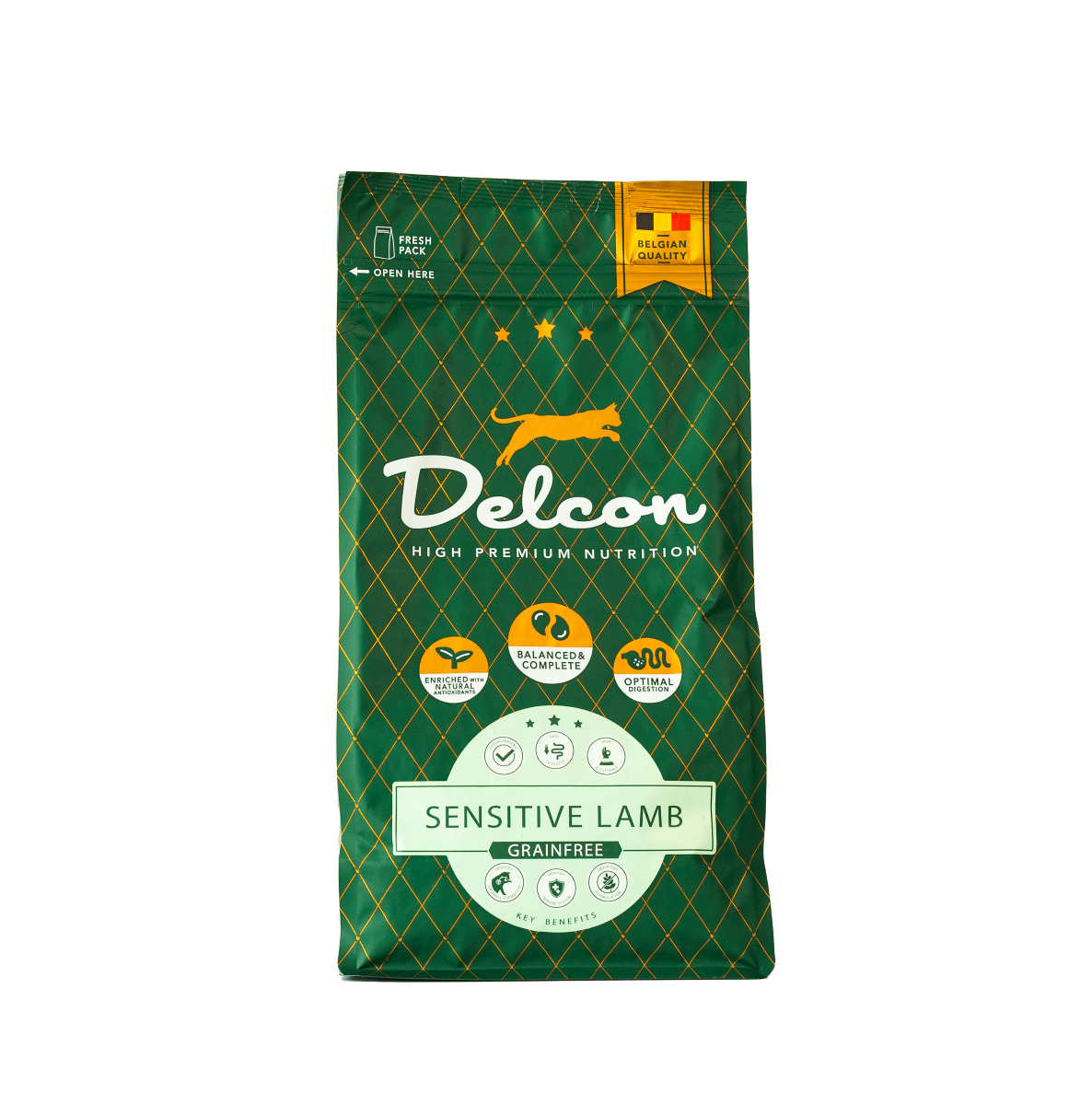 Toit seedeprobleemidega kassidele / 1