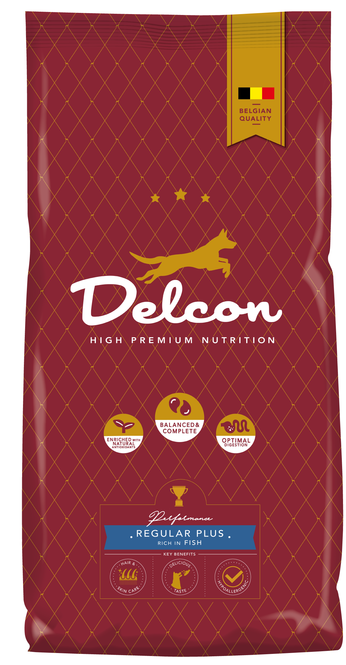 Toit täiskasvanud koertele REGULAR PLUS kalarikas / 3 kg