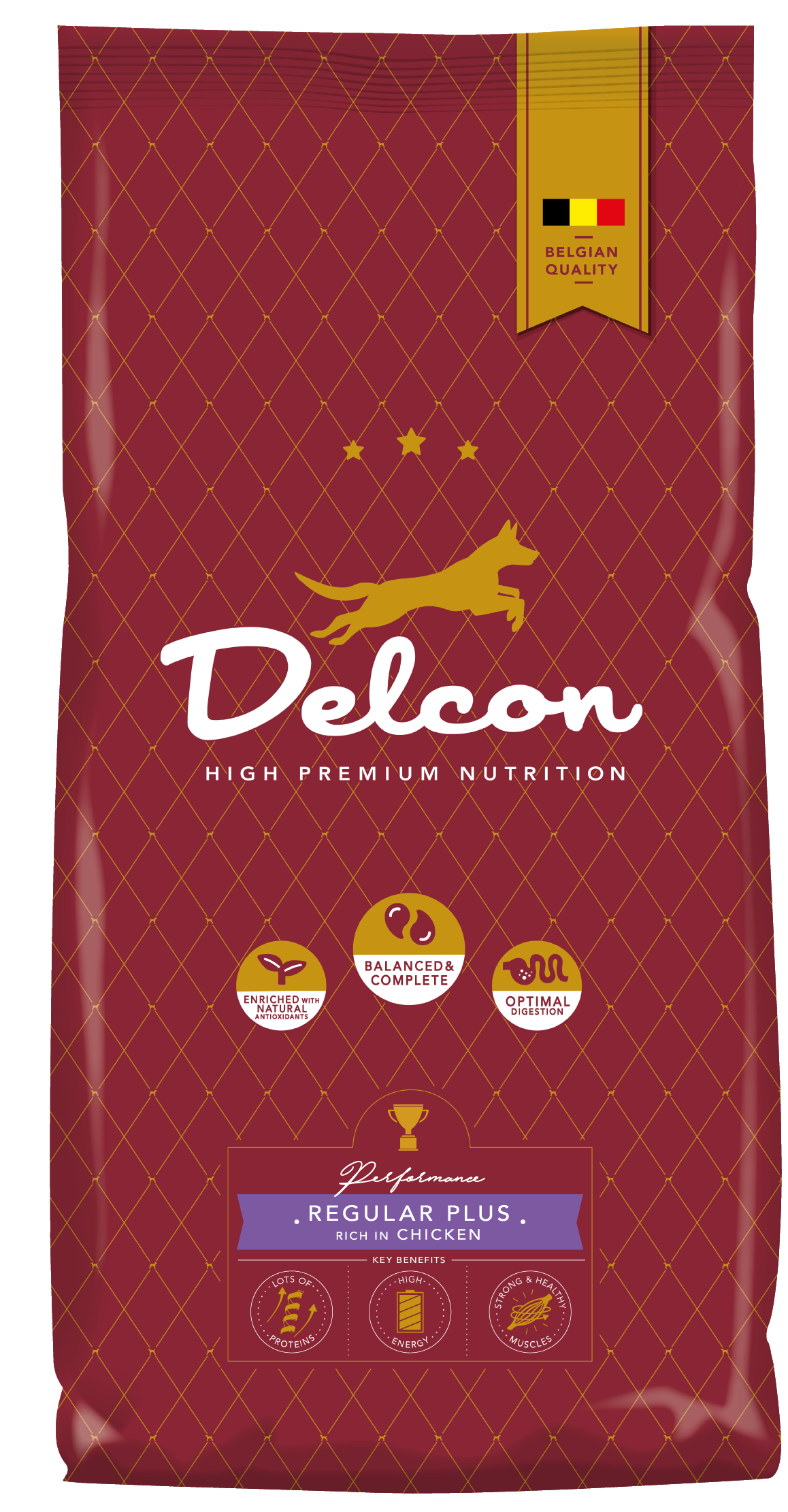 Toit täiskasvanud koertele REGULAR PLUS kanarikas / 12 kg