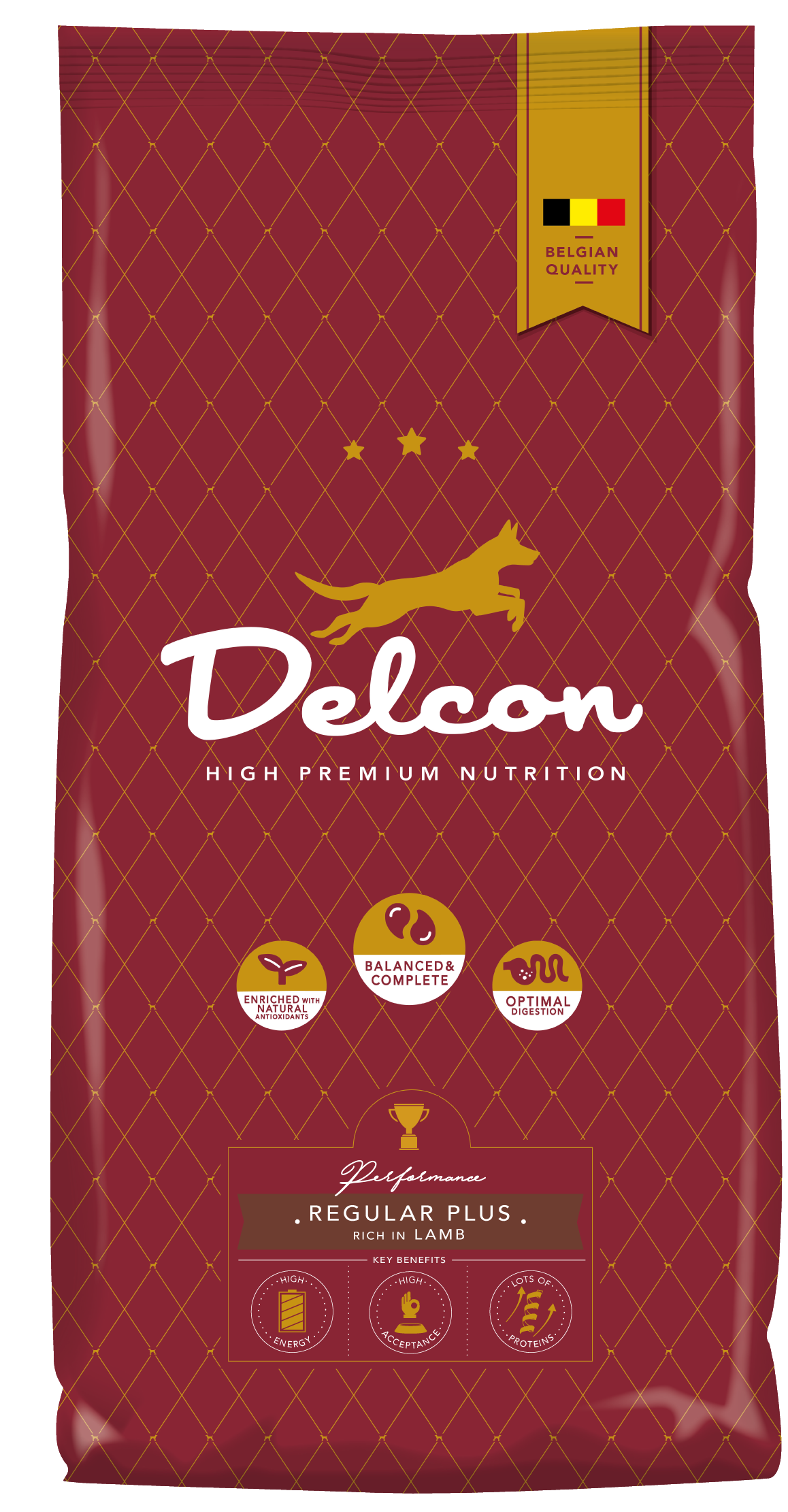 Toit täiskasvanud koertele REGULAR PLUS lambaliharikas / 12 kg