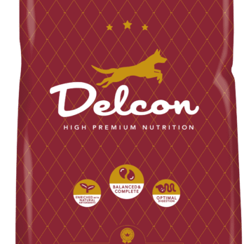 Toit täiskasvanud koertele REGULAR kanarikas / 12 kg