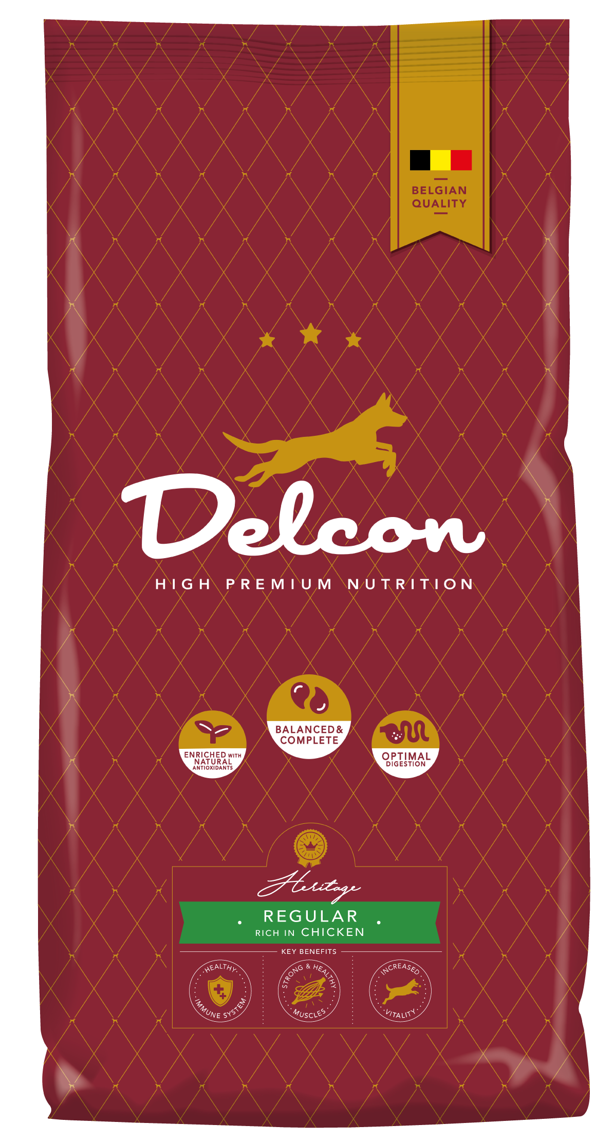 Toit täiskasvanud koertele REGULAR kanarikas / 3 kg