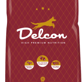 Toit täiskasvanud koertele REGULAR lambaliharikas / 12 kg