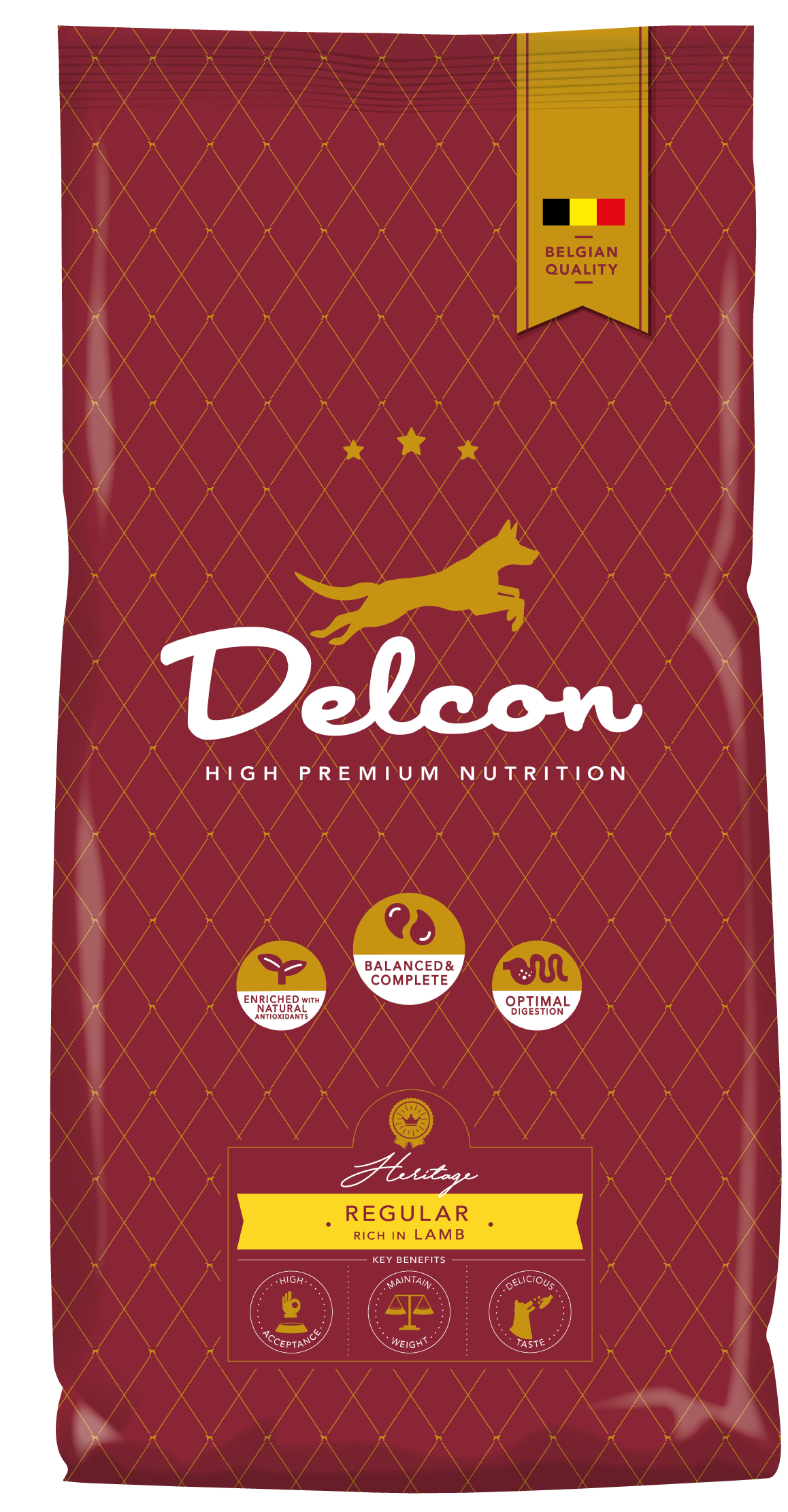 Toit täiskasvanud koertele REGULAR lambaliharikas / 3 kg