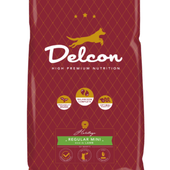 Toit väikeste koeratõugude täiskasvanutele REGULAR MINI lambaliharikas / 12 kg