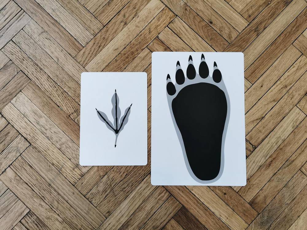 2020-07-27-09-44-28-1-large