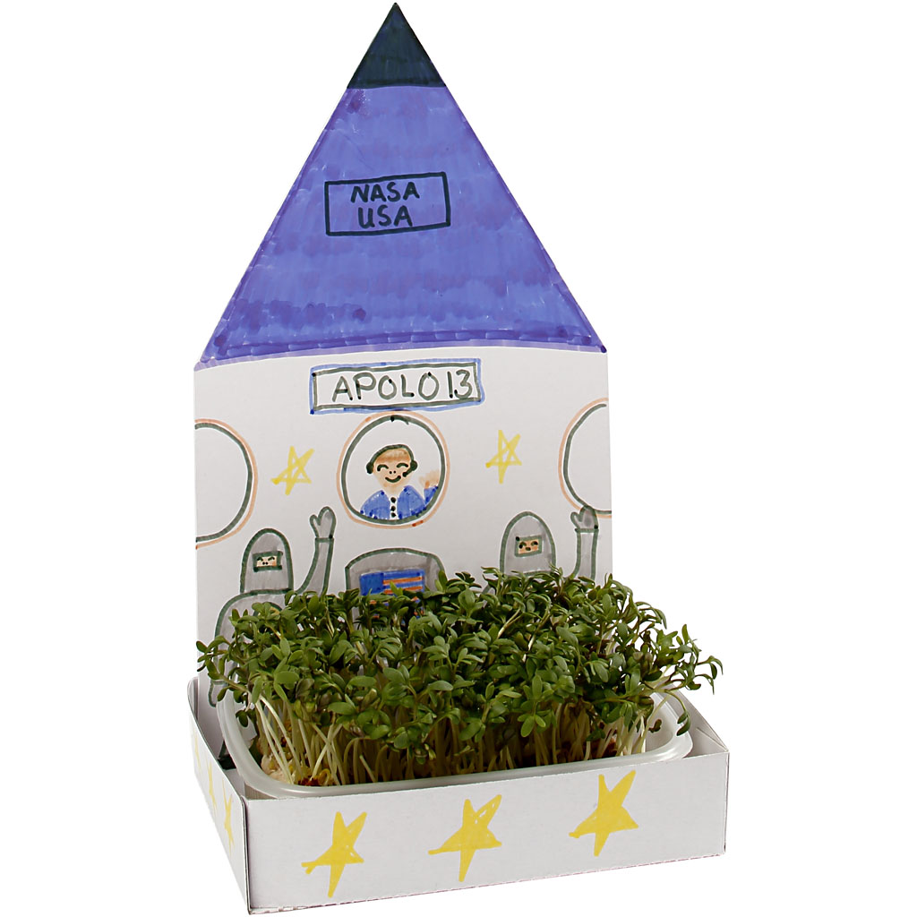 Figuurikujulised kressikausid, maja, H: 20 cm, valge, 6 komplekti/ 1 pakk - Image 4