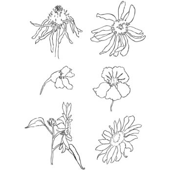 Läbipaistvad templid, suvi, leht 11x15,5 cm, 1 leht