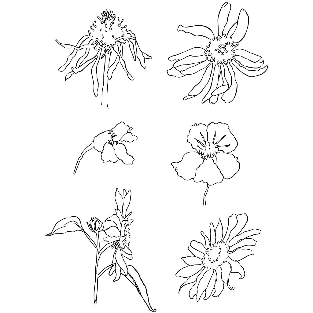 Läbipaistvad templid, suvi, leht 11x15,5 cm, 1 leht