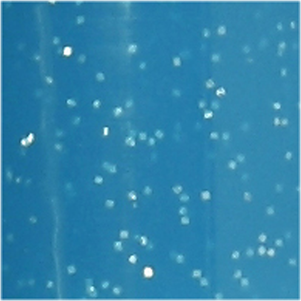 Klaas- ja portselanimarker, glitter, joon 2-4 mm, pool-läbipaistmatu, türkiissinine, 1 tk. - Image 3