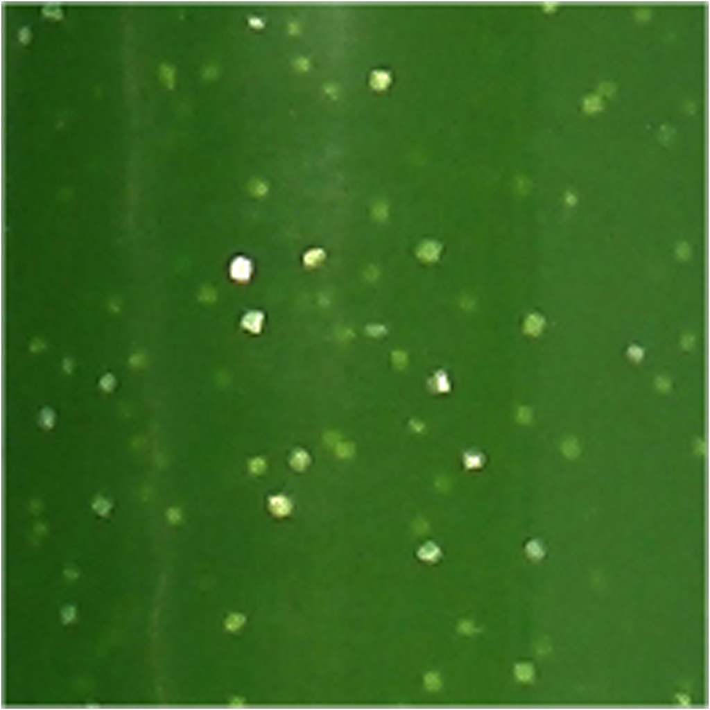 Klaas- ja portselanimarker, glitter, joon 2-4 mm, poolläbipaistmatu, heleroheline, 1 tk - Image 3