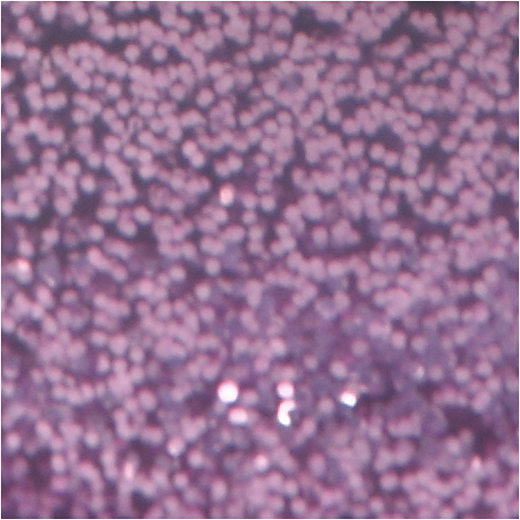 Glitter liim, lilla, 25 ml/ 1 pudel - Image 2