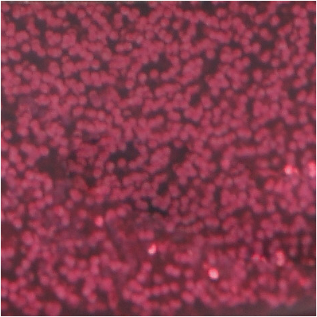 Glitter liim, roosa, 25 ml/ 1 pudel - Image 2