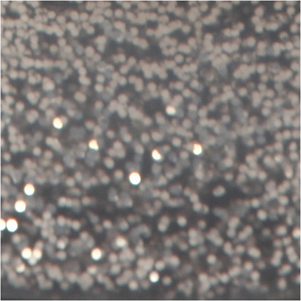 Glitter liim, hõbedane, 25 ml/ 1 pudel - Image 2