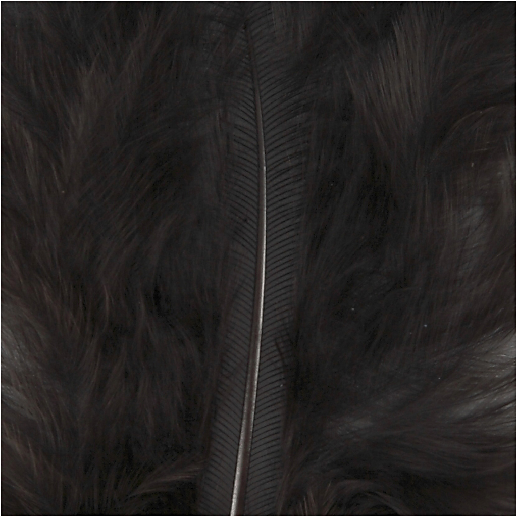 Alus, suurus 5-12 cm, must, 15 tk/ 1 pakk - Image 4