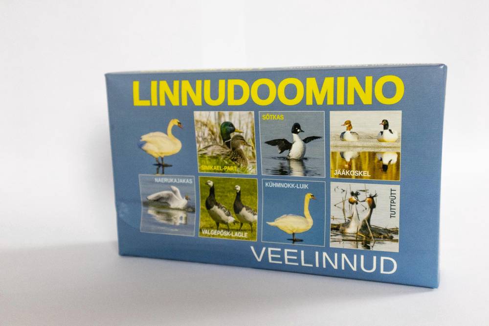 jpeg-optimizer-IMG-2913