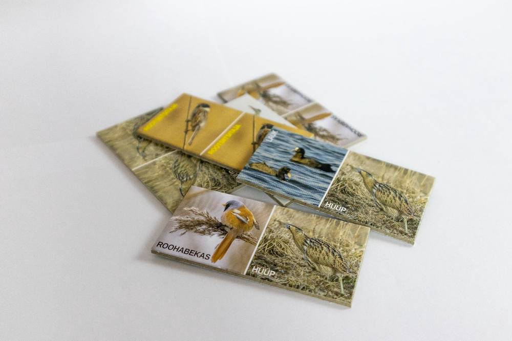 jpeg-optimizer-IMG-2960