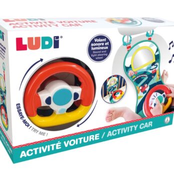 LUDI interaktiivne roolimisratas tegevusmatt