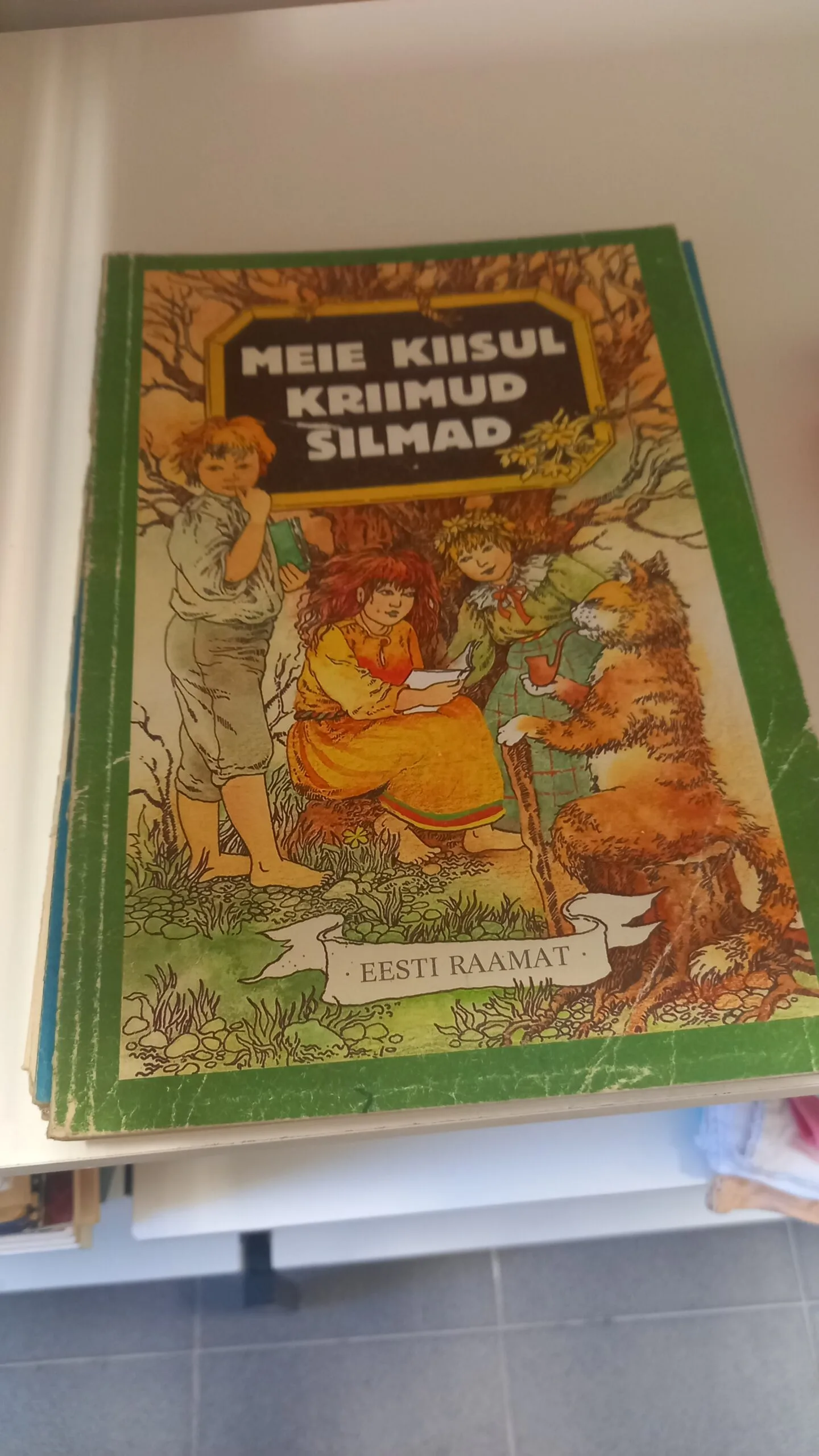 meie kiisul kriimud silmad raamatu kaas