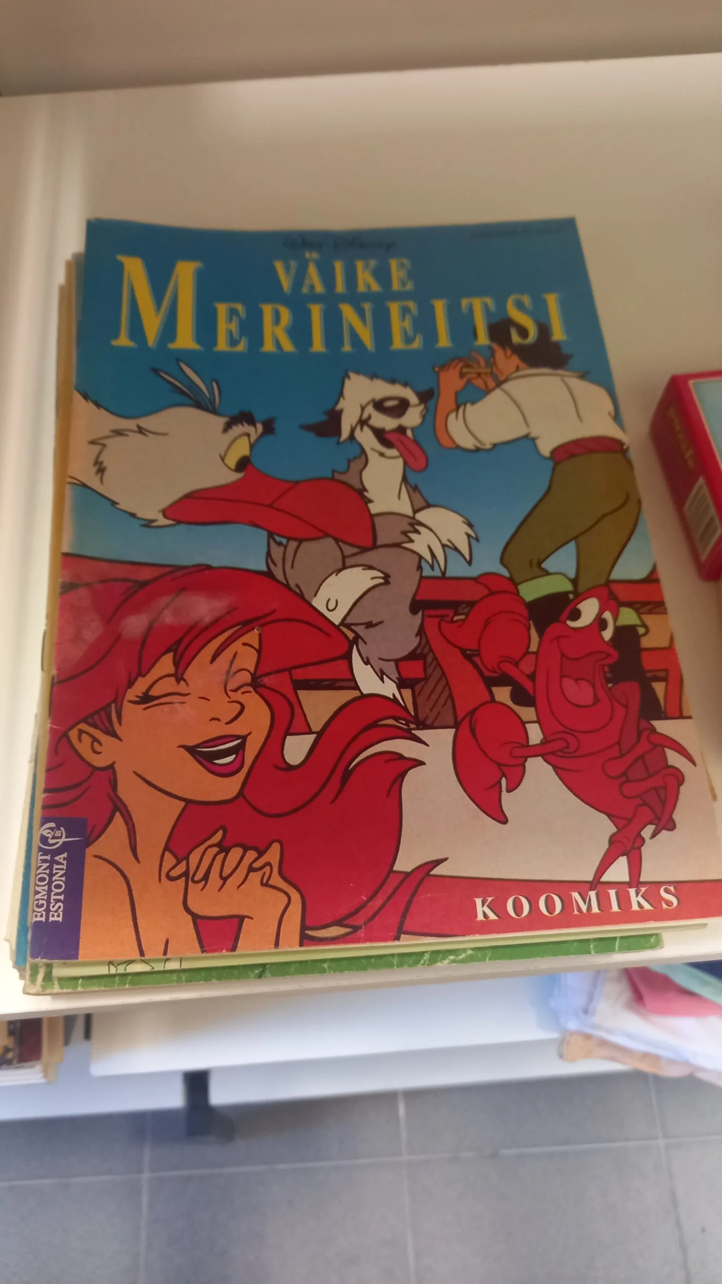 vaike merineitsi raamatu kaas